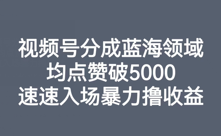 视频号分成蓝海领域，均点赞破5000，速速入场暴力撸收益-桐创网