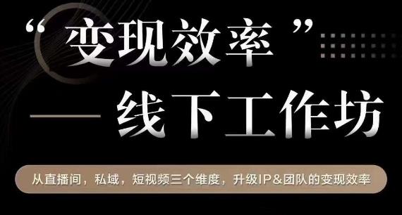 变现效率线下工作坊，从‮播直‬间、私域、‮视短‬频‮个三‬维度，升级IP和团队变现效率-桐创网