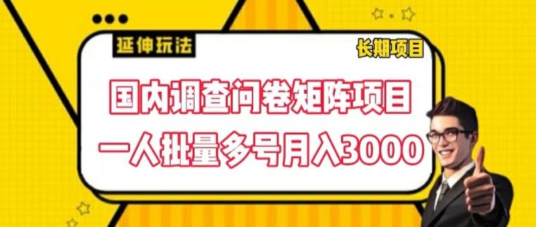 国内调查问卷矩阵项目，一人批量多号月入3000【揭秘】-桐创网