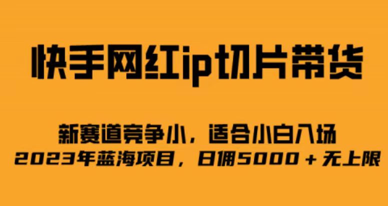 （6832期）快手网红ip切片新赛道，竞争小事，适合小白  2023蓝海项目-桐创网