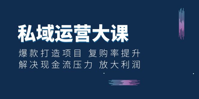 （6455期）私域运营大课：爆款打造项目 复购率提升 解决现金流压力 放大利润-桐创网