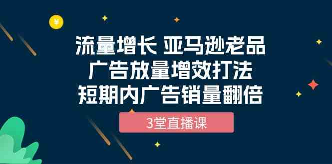 （10112期）流量增长 亚马逊老品广告放量增效打法，短期内广告销量翻倍（3堂直播课）-桐创网