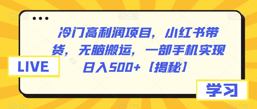 冷门高利润项目，小红书带货，无脑搬运，一部手机实现日入500+【揭秘】-桐创网