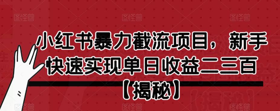 小红书暴力截流项目，新手快速实现单日收益二三百【仅揭秘】-桐创网