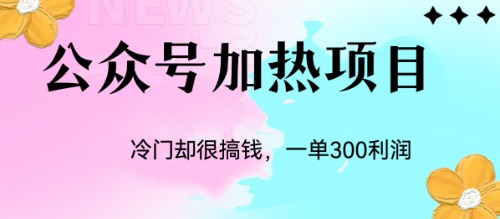 （6916期）冷门公众号加热项目，一单利润300+-桐创网