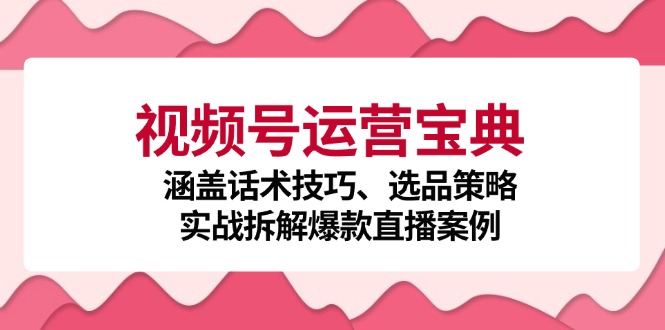 （12808期）视频号运营宝典：涵盖话术技巧、选品策略、实战拆解爆款直播案例-桐创网