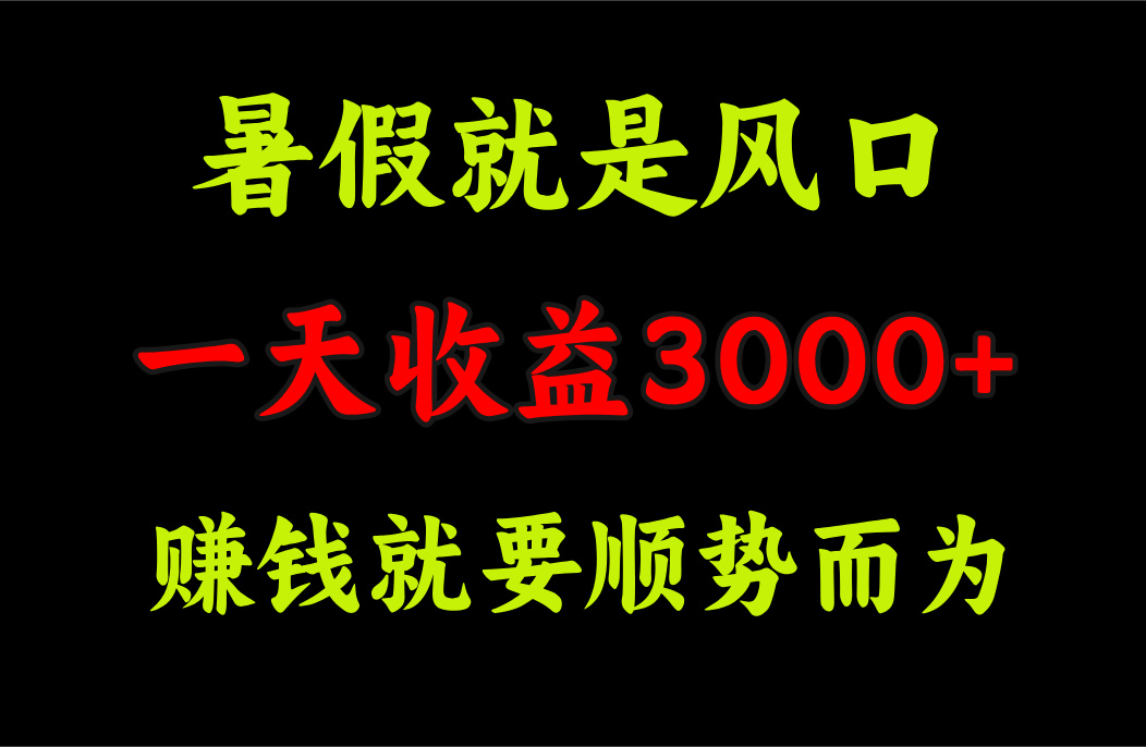 （11670期）一天收益3000+ 赚钱就是顺势而为，暑假就是风口-桐创网