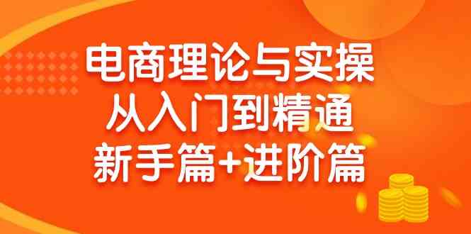 （9576期）电商理论与实操从入门到精通 新手篇+进阶篇-桐创网