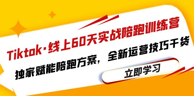 （6333期）Tiktok·线上60天实战陪跑训练营，独家赋能陪跑方案，全新运营技巧干货-桐创网