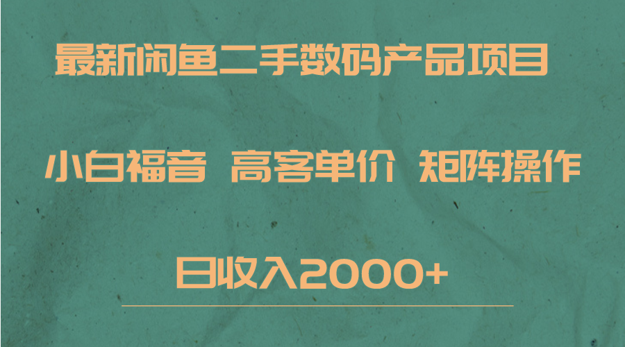 最新闲鱼二手数码赛道，小白福音，高客单价，矩阵操作，日收入2000+-桐创网