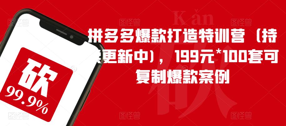 拼多多爆款打造特训营（持续更新中)，199元*100套可复制爆款案例-桐创网