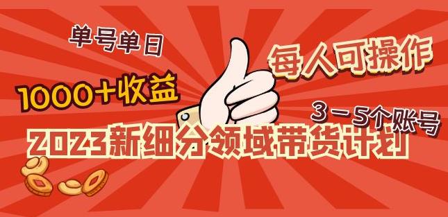 2023新细分领域带货计划：单号单日1000+收益不难，每人可操作3-5个账号-桐创网