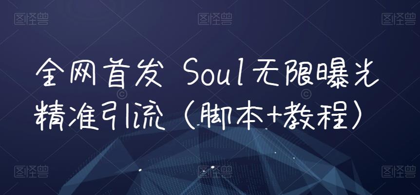 全网首发 Soul无限曝光精准引流（脚本+教程）-桐创网