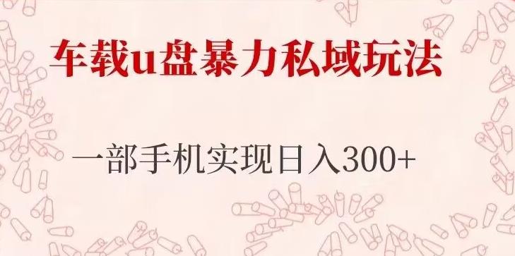 车载u盘暴力私域玩法，长期项目，仅需一部手机实现日入300+-桐创网