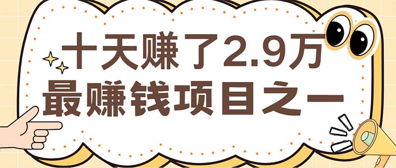 （12491期）闲鱼小红书赚钱项目之一，轻松月入6万+项目-桐创网