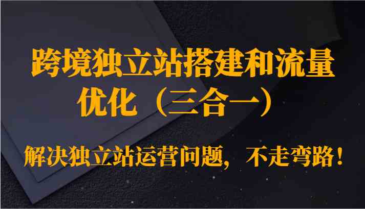 跨境独立站搭建和流量优化（三合一）解决独立站运营问题，不走弯路！-桐创网