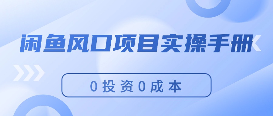 （11923期）闲鱼风口项目实操手册，0投资0成本，让你做到，月入过万，新手可做-桐创网