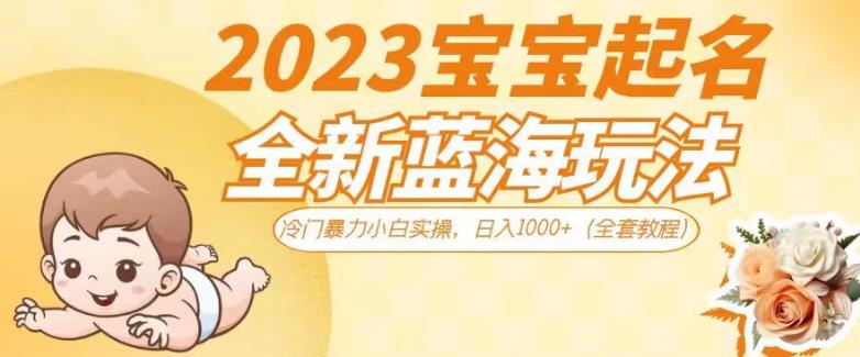 2023宝宝起名全新蓝海玩法，冷门暴力小白实操，日入1000+（全套教程）【揭秘】-桐创网