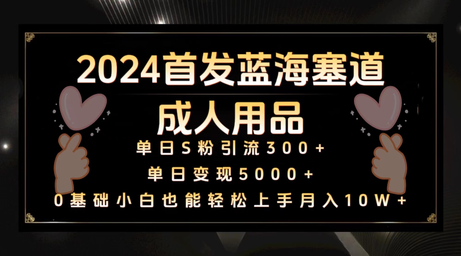 2024首发蓝海塞道成人用品，月入10W+保姆教程-桐创网