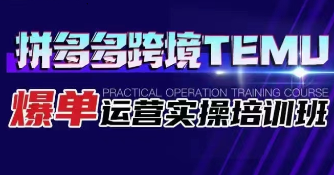 拼多多跨境TEMU爆单运营实操培训班 海外拼多多的选品、运营、爆单-桐创网