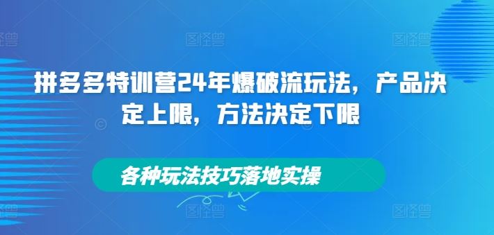 拼多多特训营24年爆破流玩法，产品决定上限，方法决定下限，各种玩法技巧落地实操-桐创网