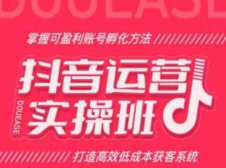 抖音运营实操班，掌握可盈利账号孵化方法，打造高效低成本获客系统-桐创网