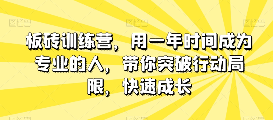 板砖训练营，用一年时间成为专业的人，带你突破行动局限，快速成长-桐创网