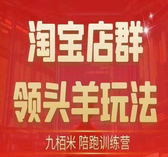 九栢米-淘宝店群领头羊玩法，教你整个淘宝店群领头羊玩法以及精细化/终极蓝海/尾销等内容-桐创网