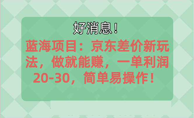 （10989期）越早知道越能赚到钱的蓝海项目：京东大平台操作，一单利润20-30，简单…-桐创网