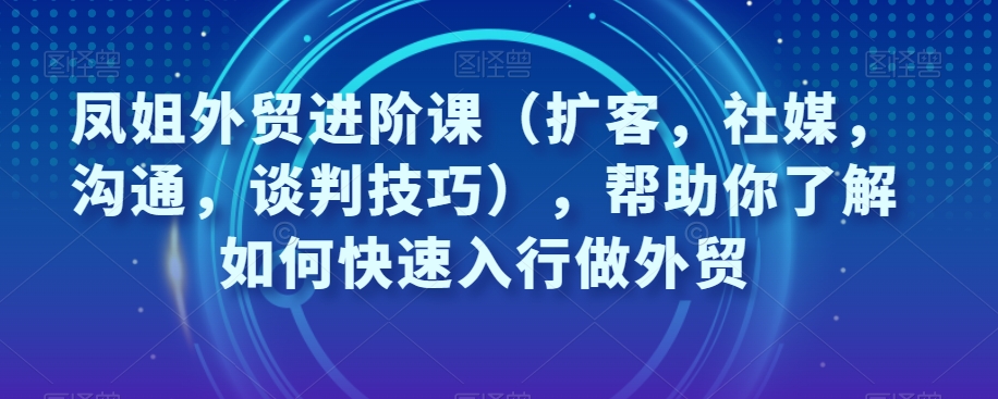 凤姐外贸进阶课（扩客，社媒，沟通，谈判技巧），帮助你了解如何快速入行做外贸-桐创网