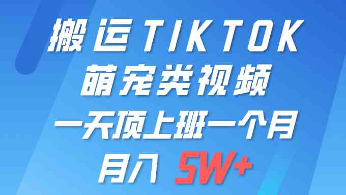 （9931期）一键搬运TIKTOK萌宠类视频 一部手机即可操作 所有平台均可发布 轻松月入5W+-桐创网