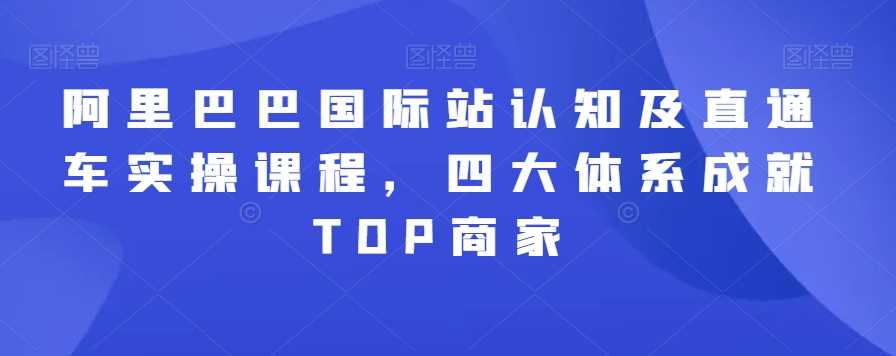 阿里巴巴国际站认知及直通车实操课程，四大体系成就TOP商家-桐创网