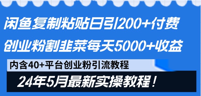 闲鱼复制粘贴日引200+付费创业粉，24年5月最新方法！割韭菜日稳定5000+收益-桐创网