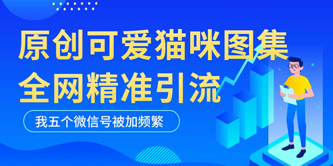 （5498期）黑科技纯原创可爱猫咪图片，全网精准引流，实操5个VX号被加频繁-桐创网