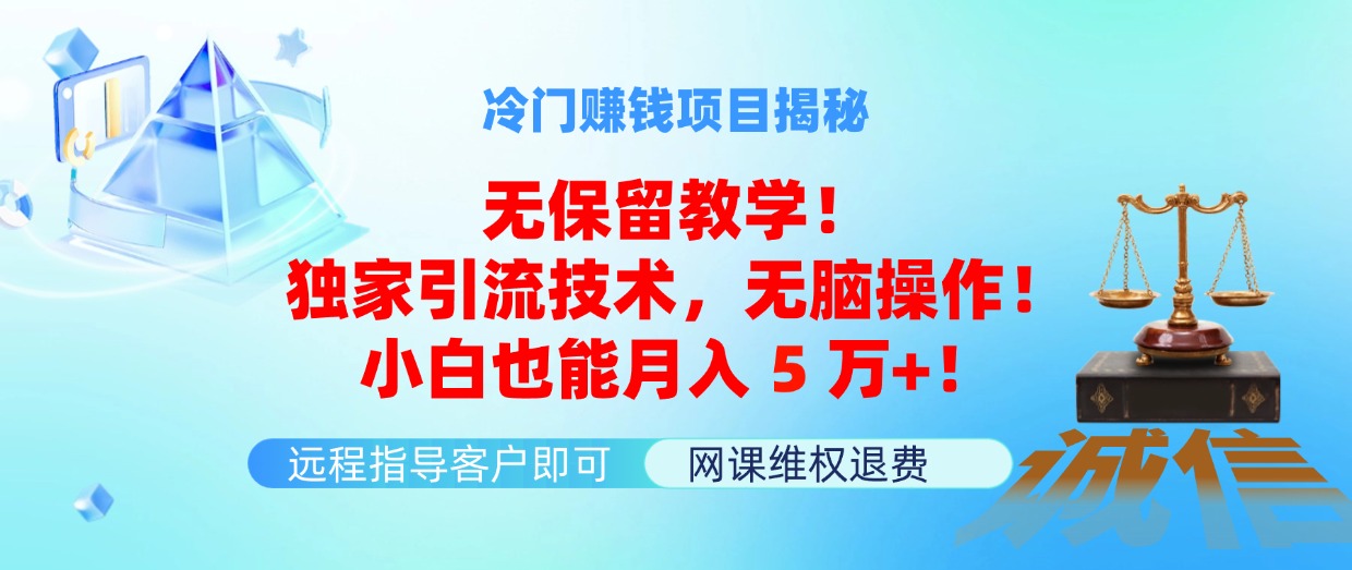 （11864期）冷门赚钱项目无保留教学！独家引流技术，无脑操作！小白也能月入5万+！-桐创网