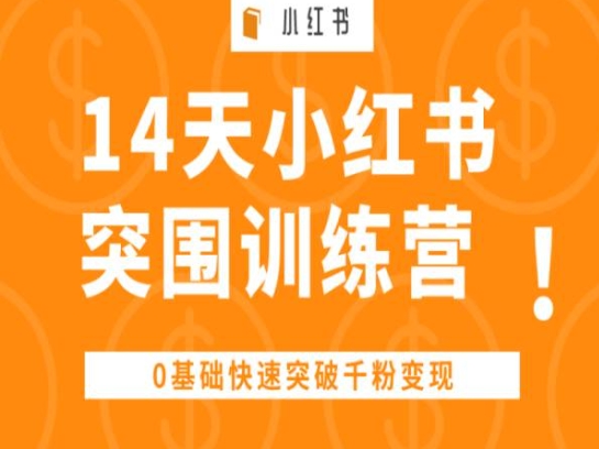 14天小红书突围训练营 ，0基础快速突破千粉变现-桐创网