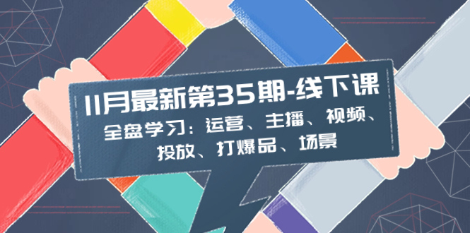 （8314期）11月最新-35期-线下课：全盘学习：运营、主播、视频、投放、打爆品、场景-桐创网