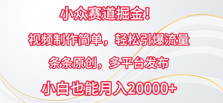 小众赛道掘金，视频制作简单，轻松引爆流量，条条原创，多平台发布-桐创网