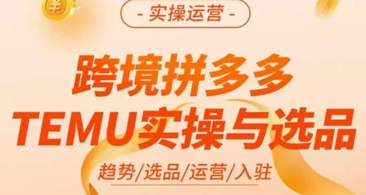 伍跃·跨境拼多多TEMU实操与选品，​趋势/选品/运营/入住（27节完整）-桐创网