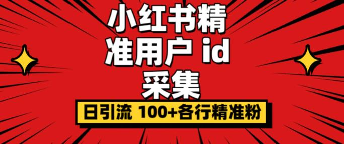 小白都会用的小红书精准用户id采集器日引流精准粉可达到100+（软件+教程）-桐创网