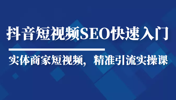 抖音短视频Seo搜索排名优化新手快速入门教程，实体商家短视频，精准引流实操课-桐创网