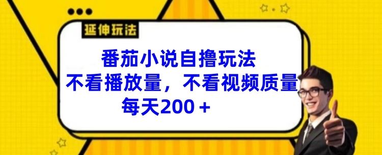 番茄小说自撸玩法，不看播放量，不看视频质量，每天200+【揭秘】-桐创网