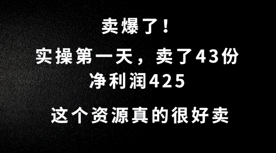 这个资源，需求很大，实操第一天卖了43份，净利润425【揭秘】-桐创网