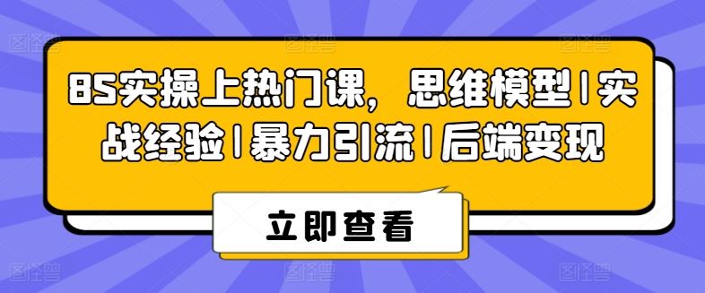 8S实操上热门课，思维模型|实战经验|暴力引流|后端变现-桐创网