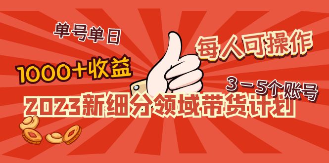 （4827期）2023新细分领域带货计划：单号单日1000+收益不难，每人可操作3-5个账号-桐创网