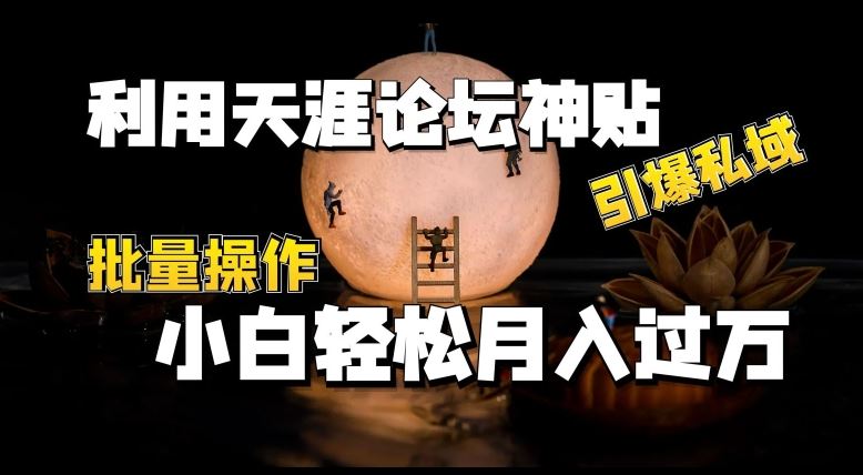 利用天涯论坛神贴，引爆私域，批量操作，小白轻松月入过w【揭秘】-桐创网