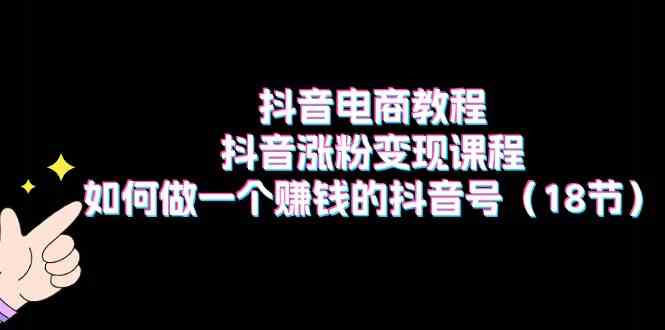 抖音电商教程：抖音涨粉变现课程：如何做一个赚钱的抖音号（18节）-桐创网