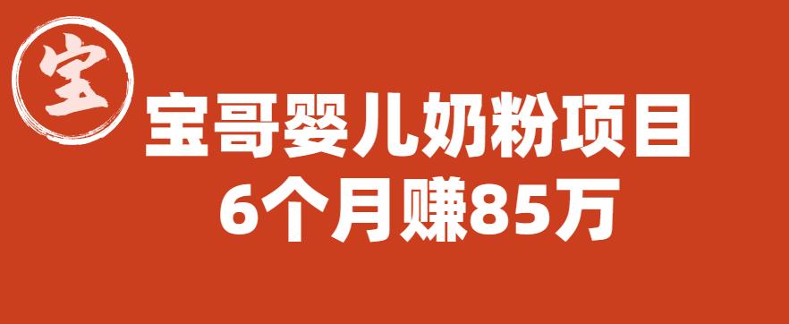 宝哥婴儿奶粉项目，6个月赚85w【图文非视频】【揭秘】-桐创网