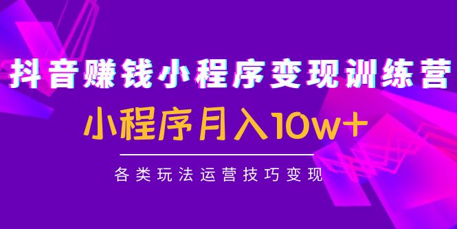 抖音赚钱小程序变现训练营：小程序月入10w+各类玩法运营技巧变现-桐创网