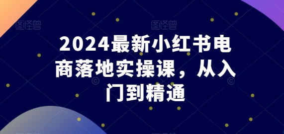 2024最新小红书电商落地实操课，从入门到精通-桐创网